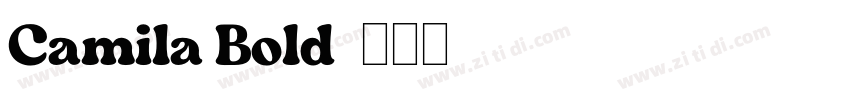 Camila Bold字体转换